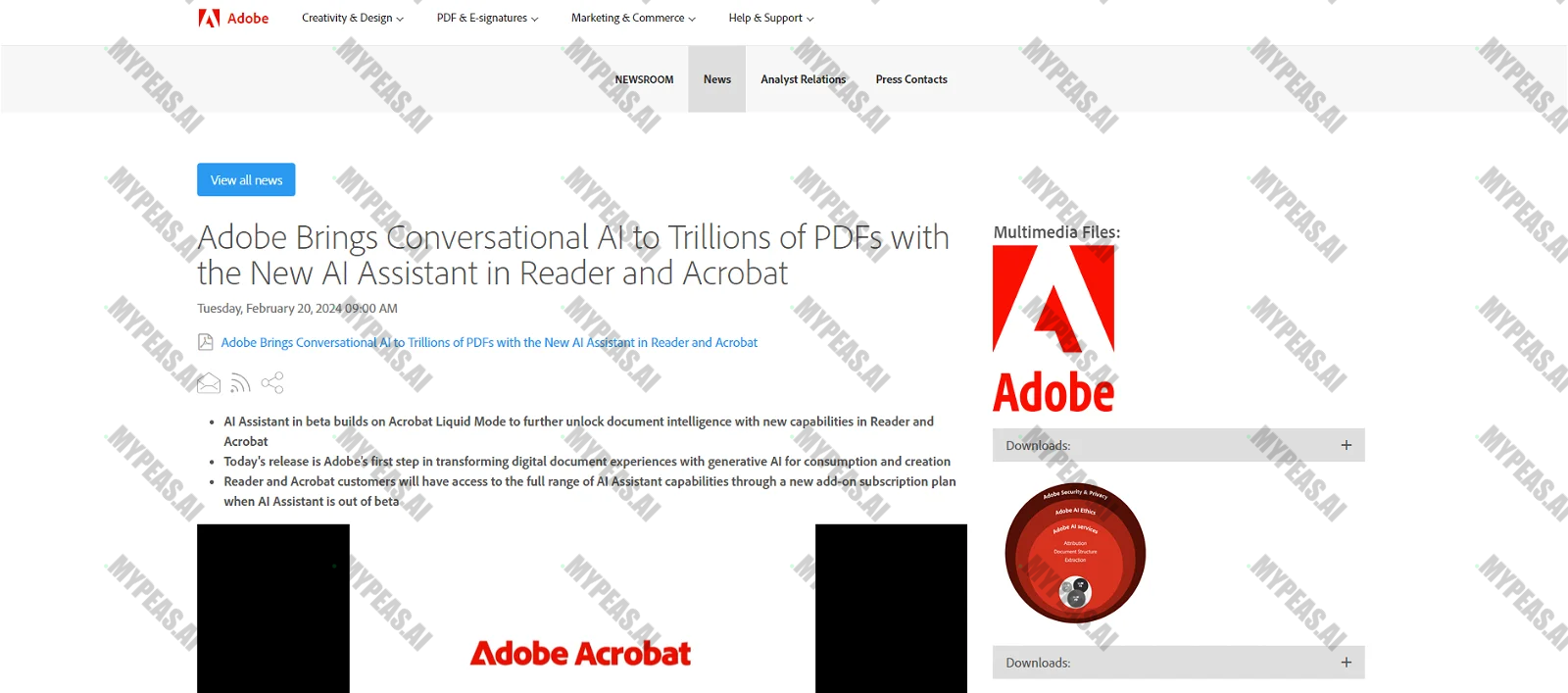 Adobe AI Assistant screenshot
