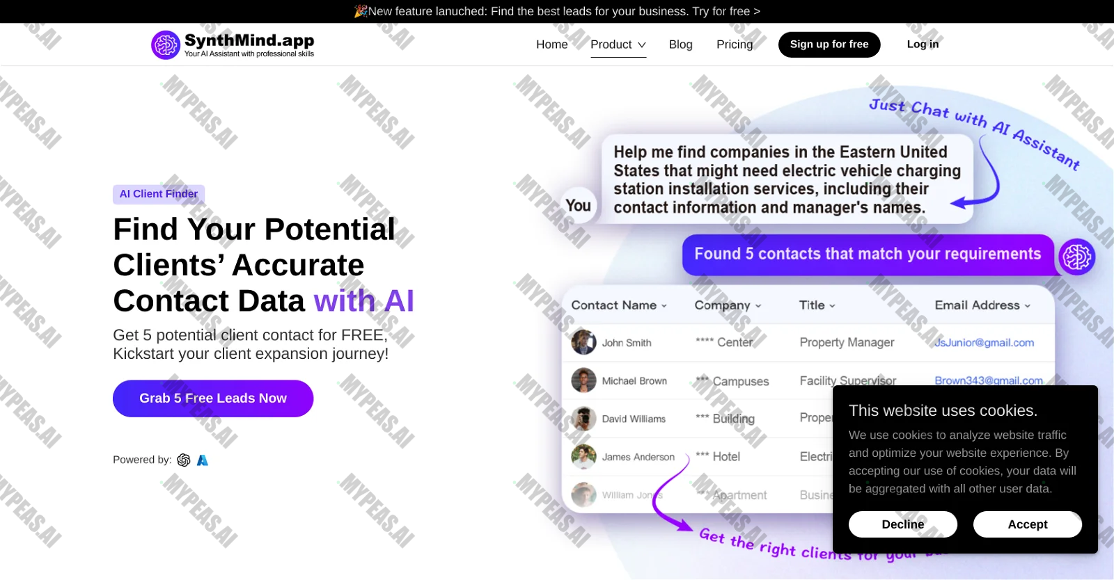 AI Client Finder by SynthMind screenshot