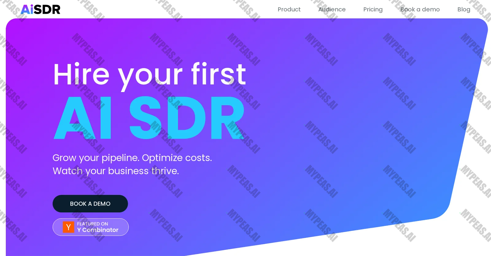 AiSDR screenshot