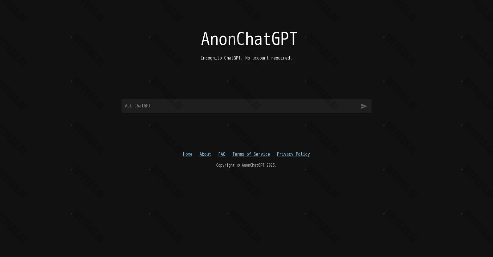 Anonchatgpt screenshot