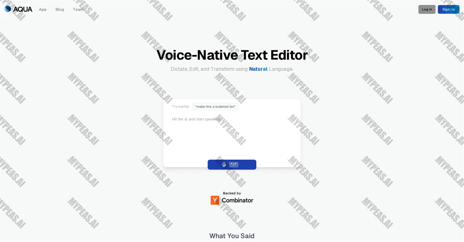 Aqua Voice screenshot