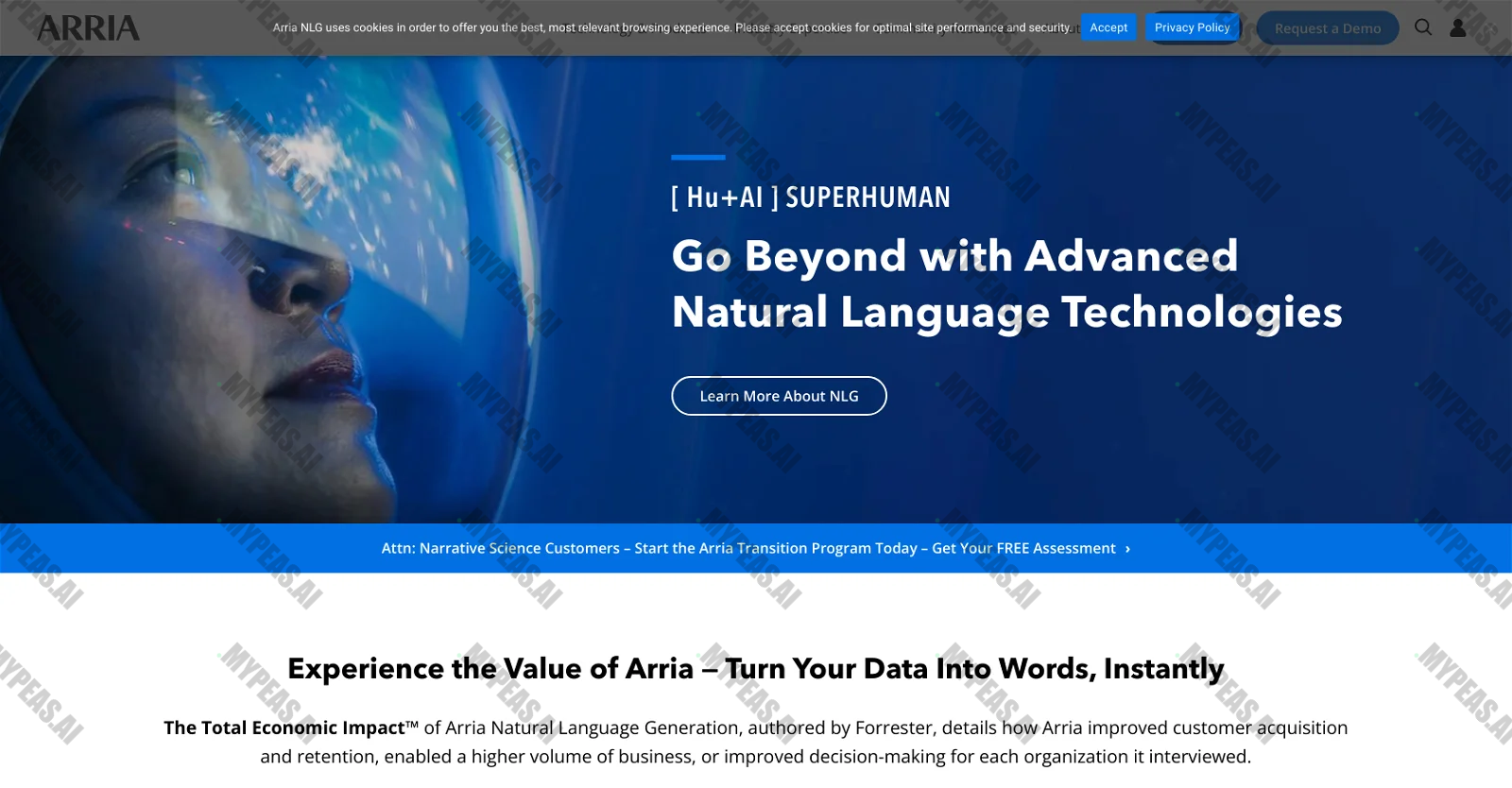 Arria screenshot