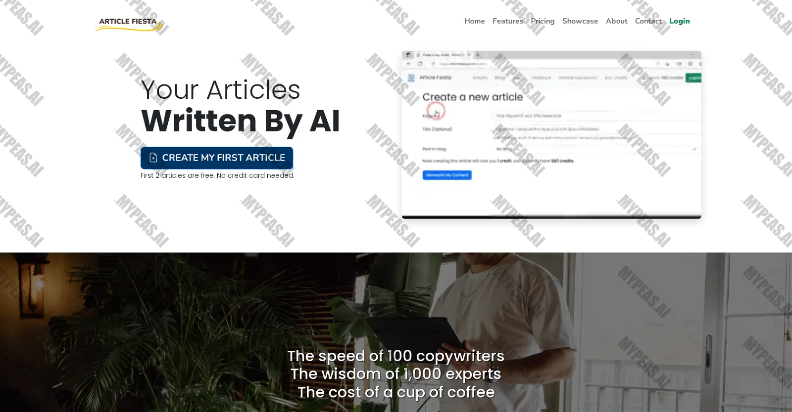 Article Fiesta screenshot