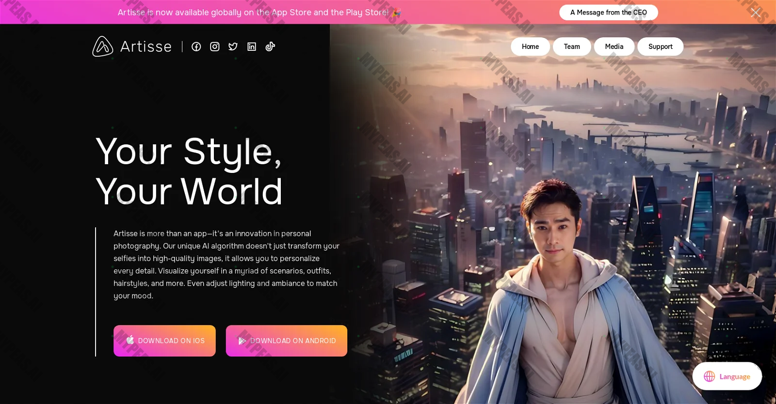 Artisse screenshot
