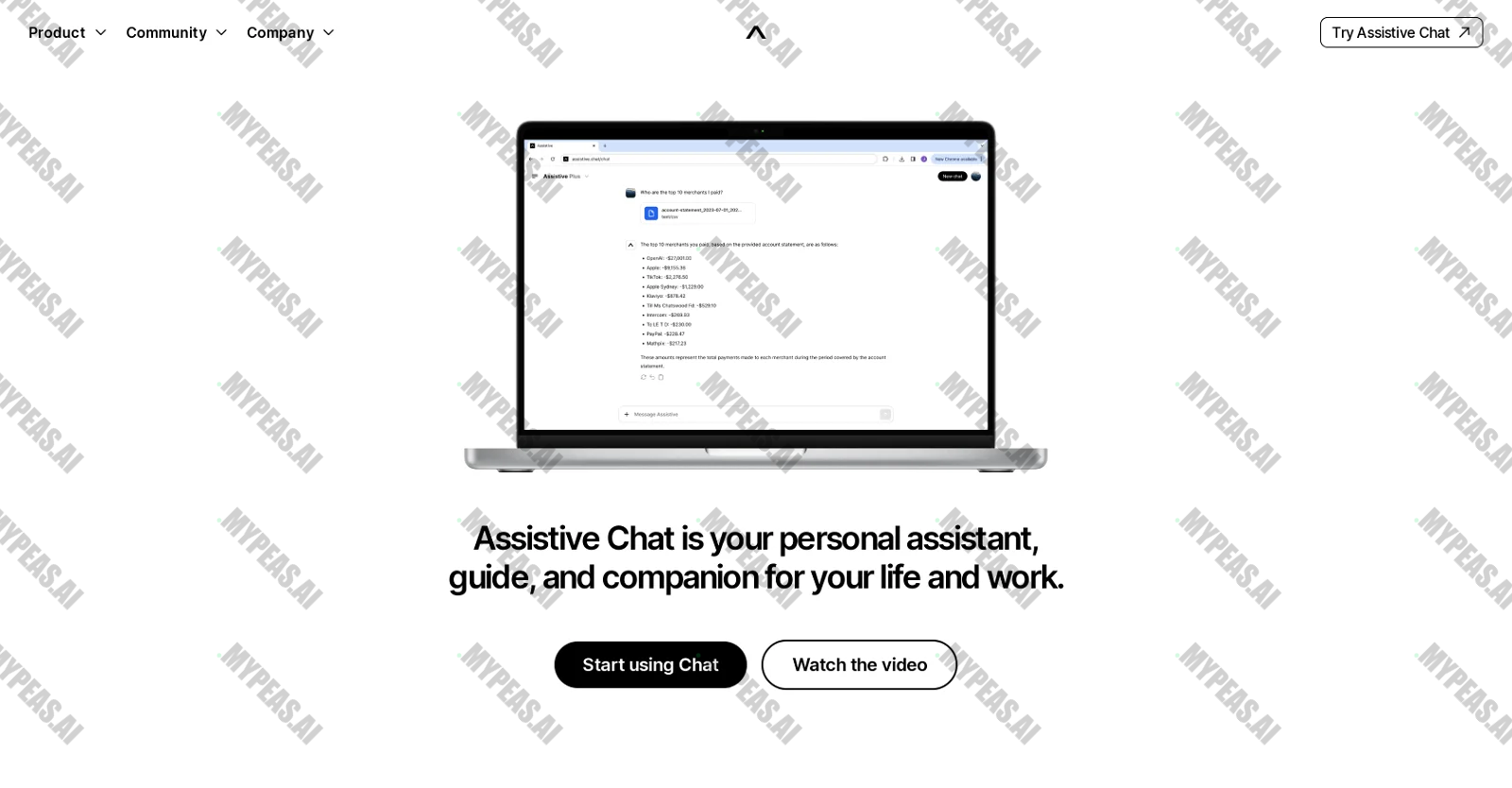 Assistive Chat screenshot
