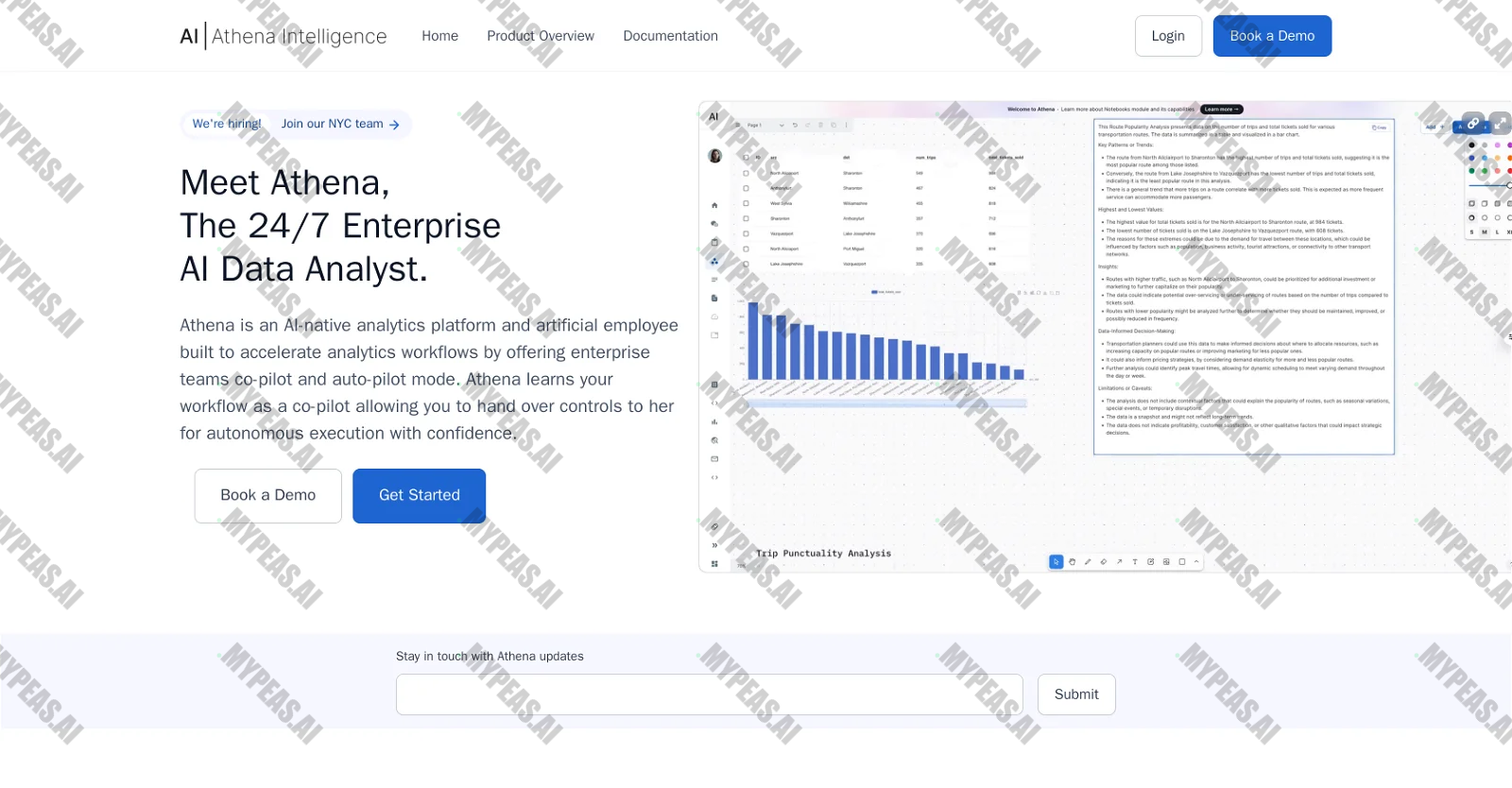 Athena Intelligence screenshot