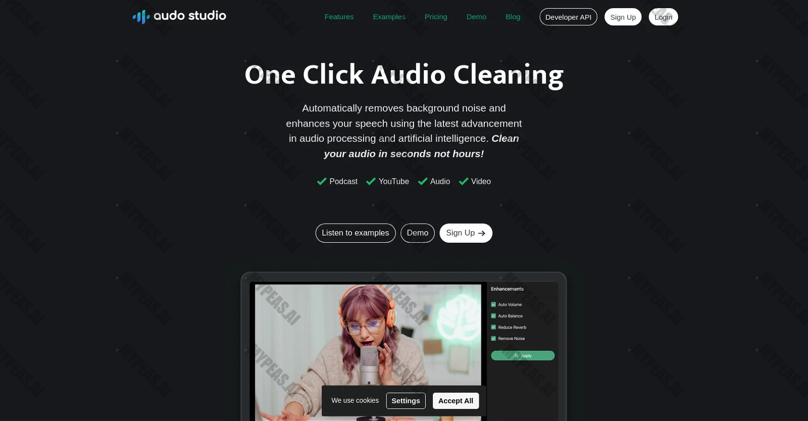 Audo AI screenshot