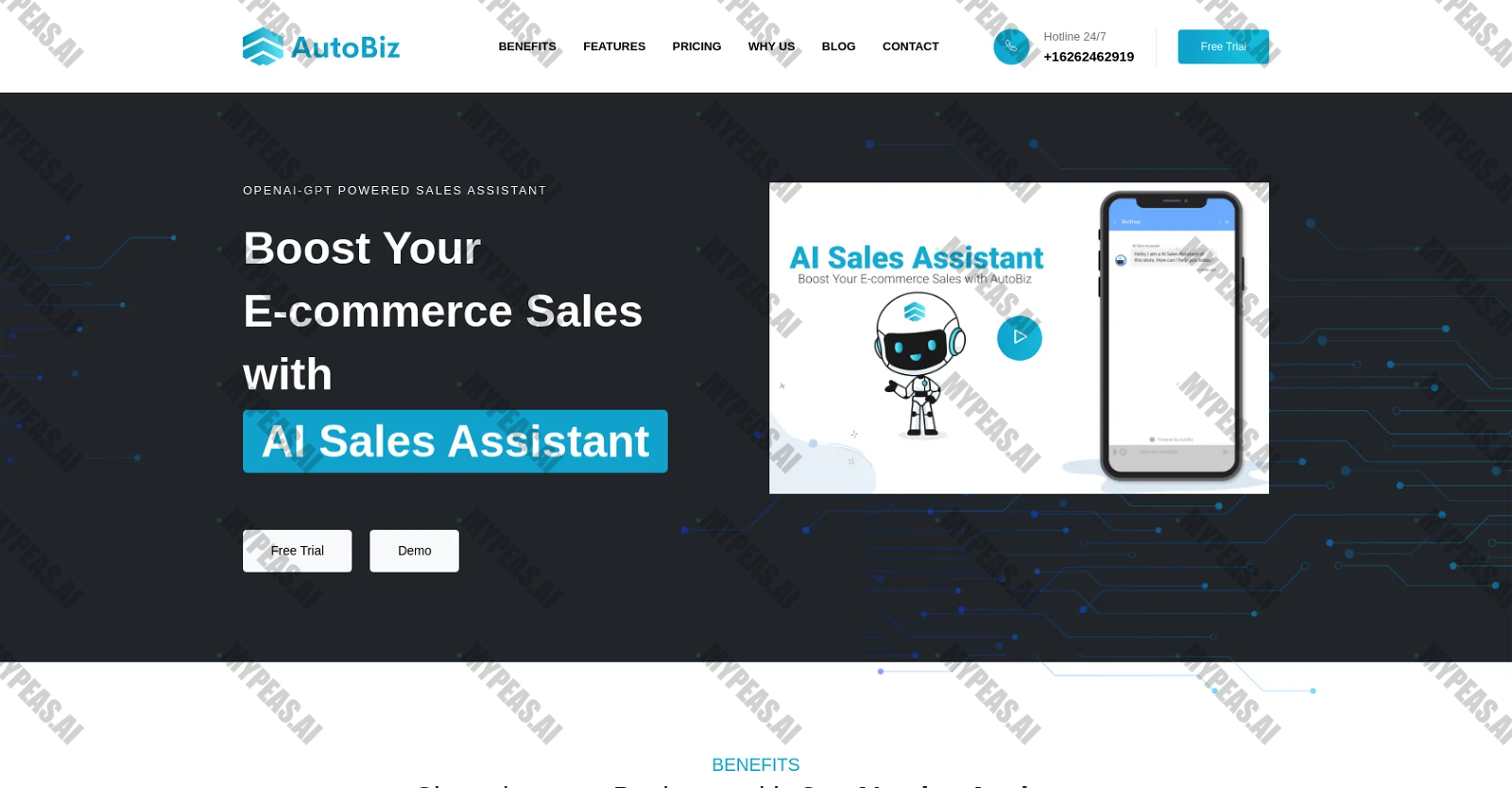AutoBiz screenshot