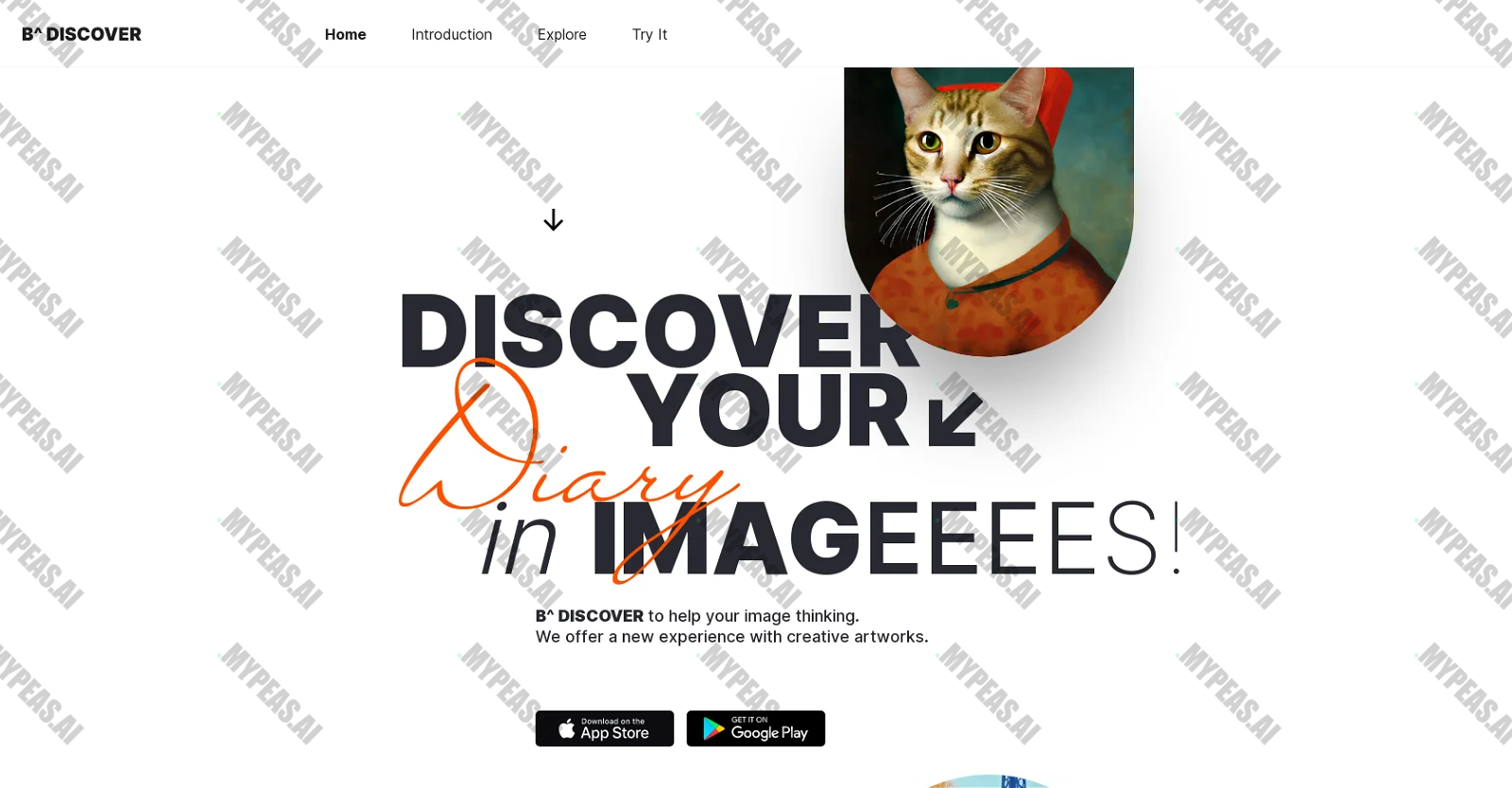 B^ DISCOVER screenshot