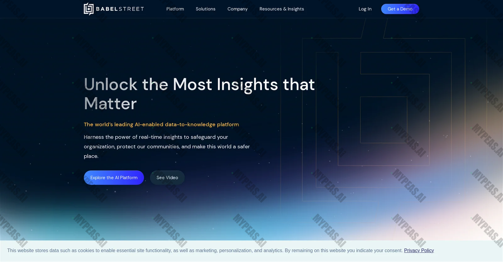 Babelstreet screenshot