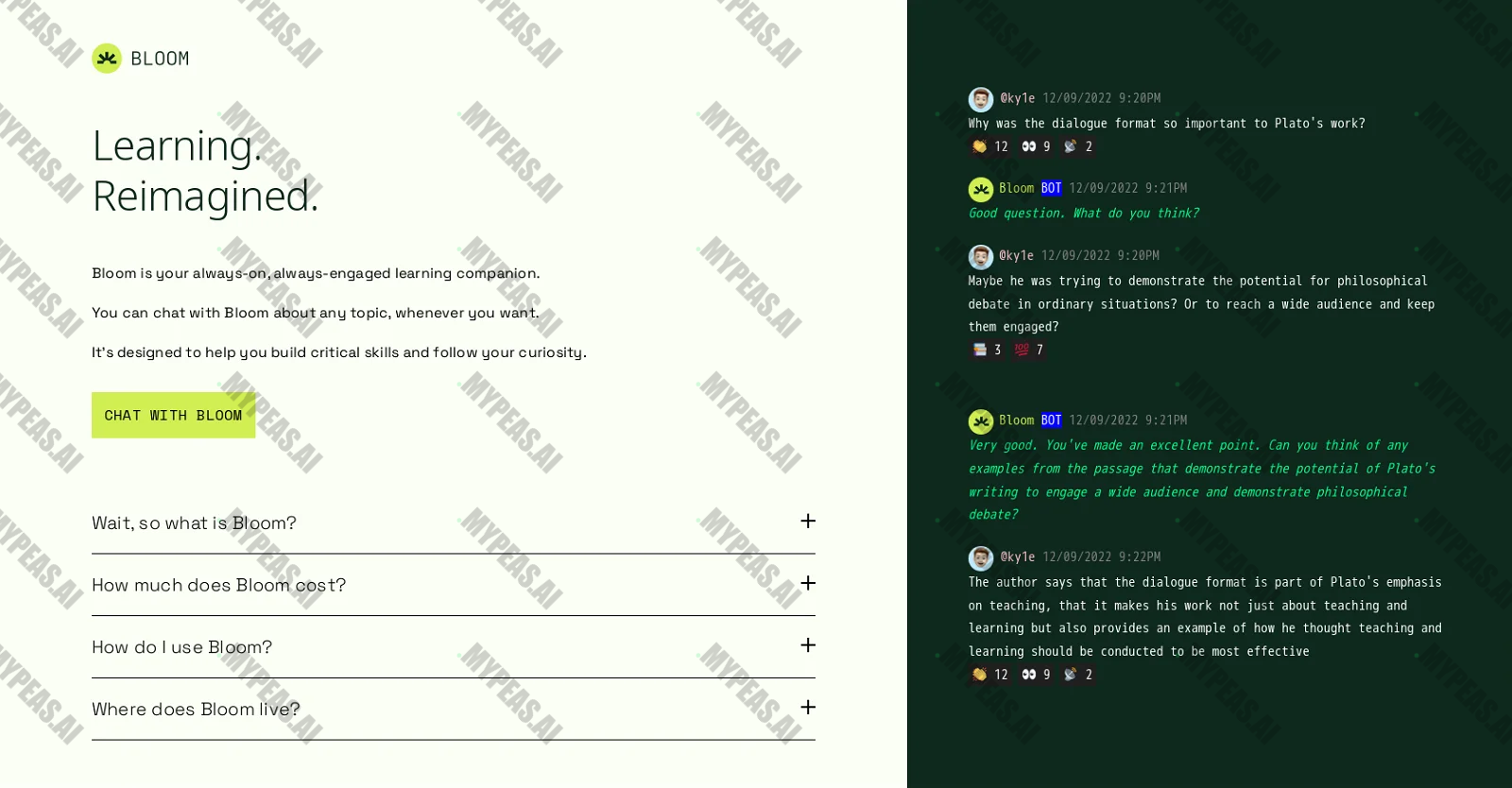 Bloom screenshot