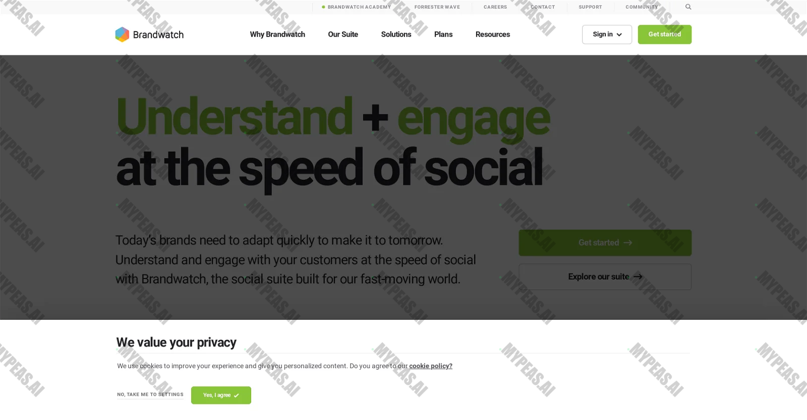 Brandwatch screenshot