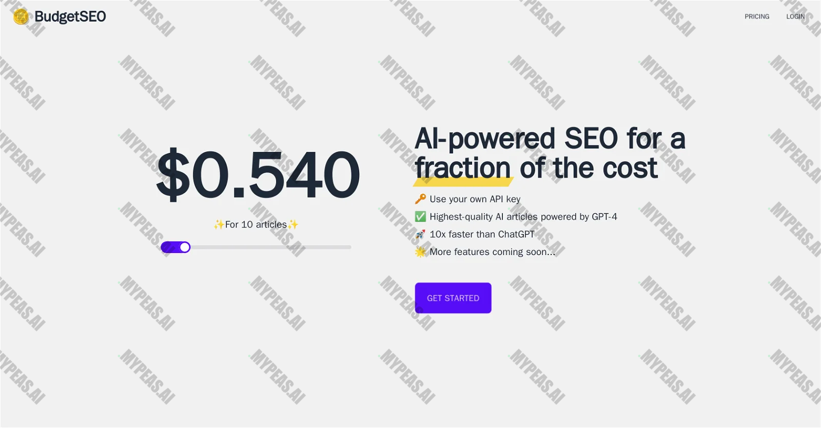 BudgetSEO screenshot