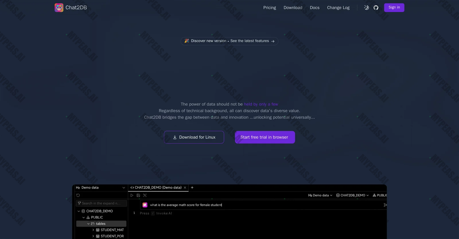 Chat2DB screenshot