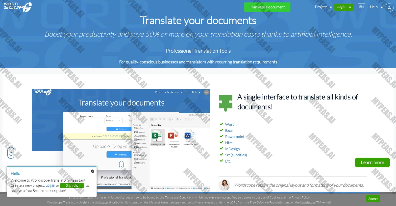 ChatGPT for Translators screenshot