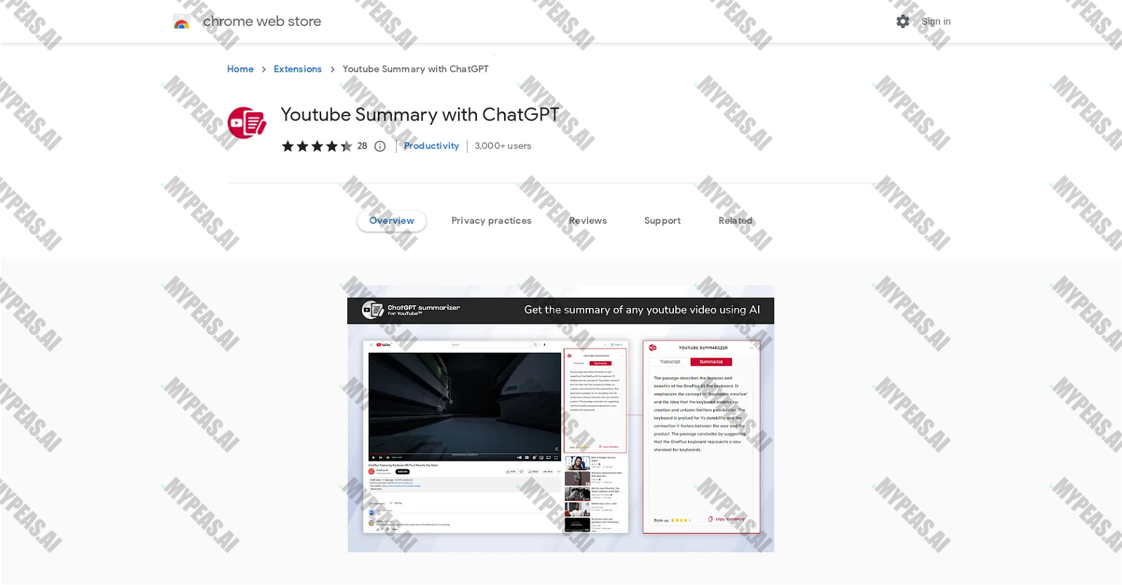 ChatGPT Summarizer screenshot
