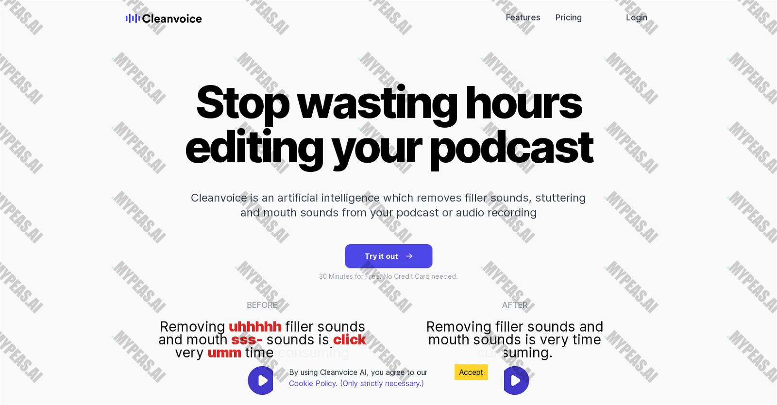 Cleanvoice AI screenshot
