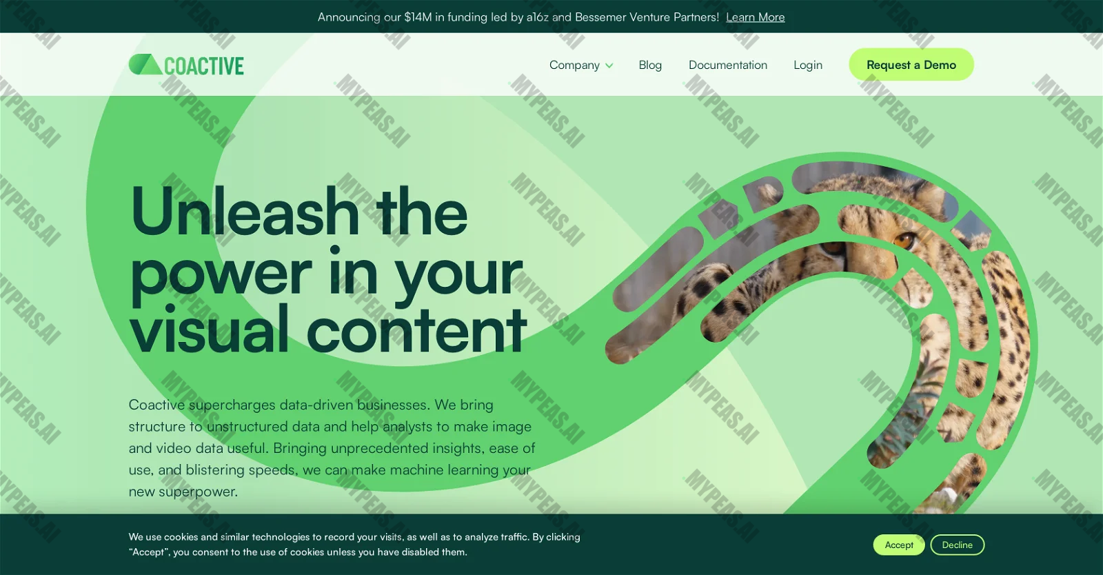 Coactive screenshot