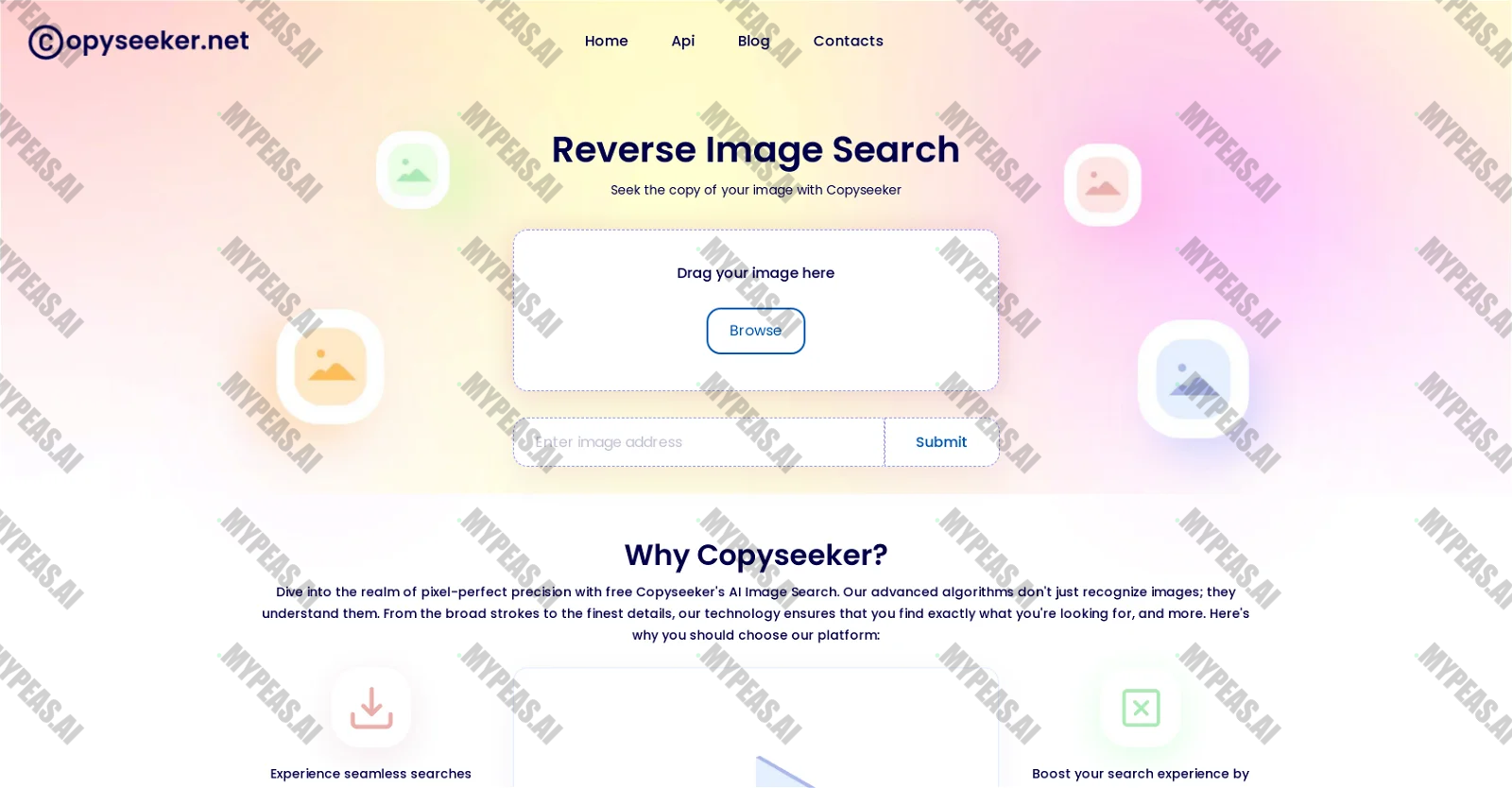 Copyseeker screenshot