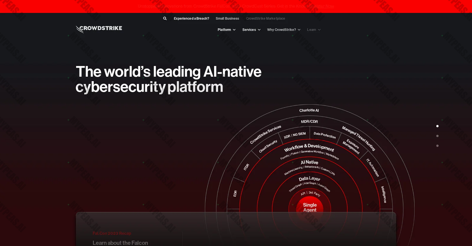 CrowdStrike screenshot