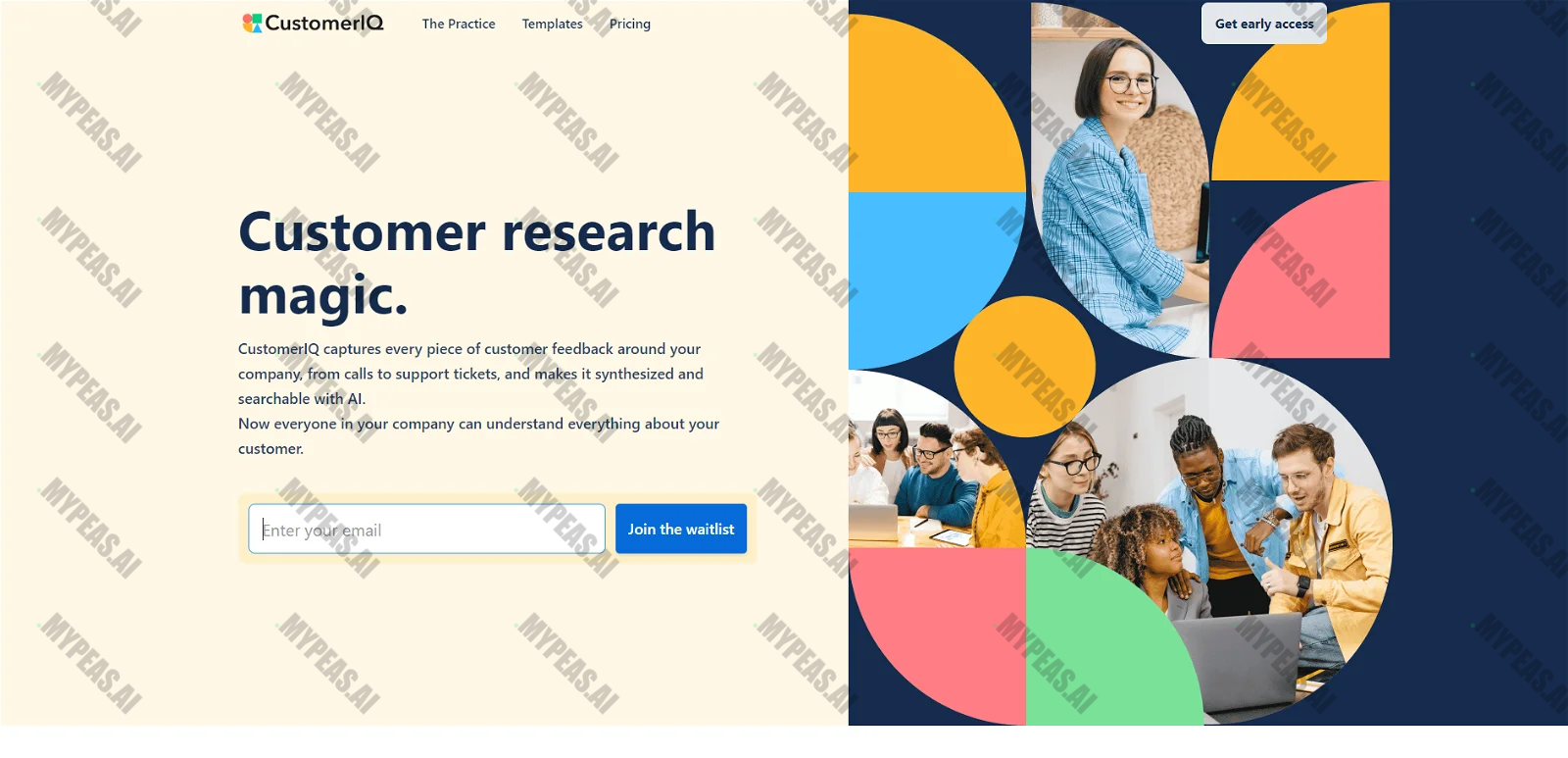 CustomerIQ screenshot