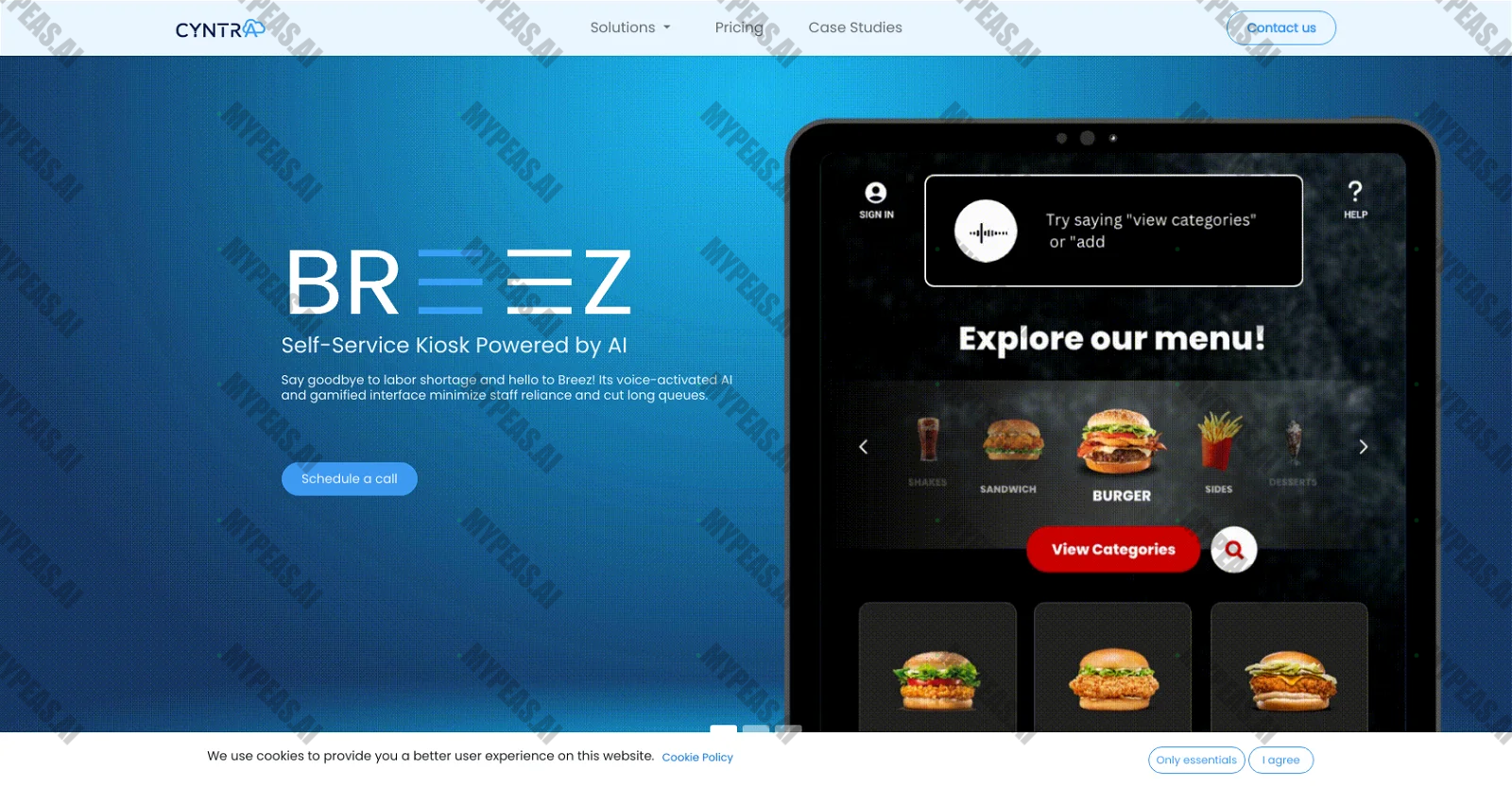 Cyntra screenshot