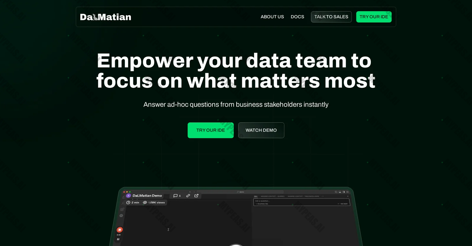 DaLMatian screenshot