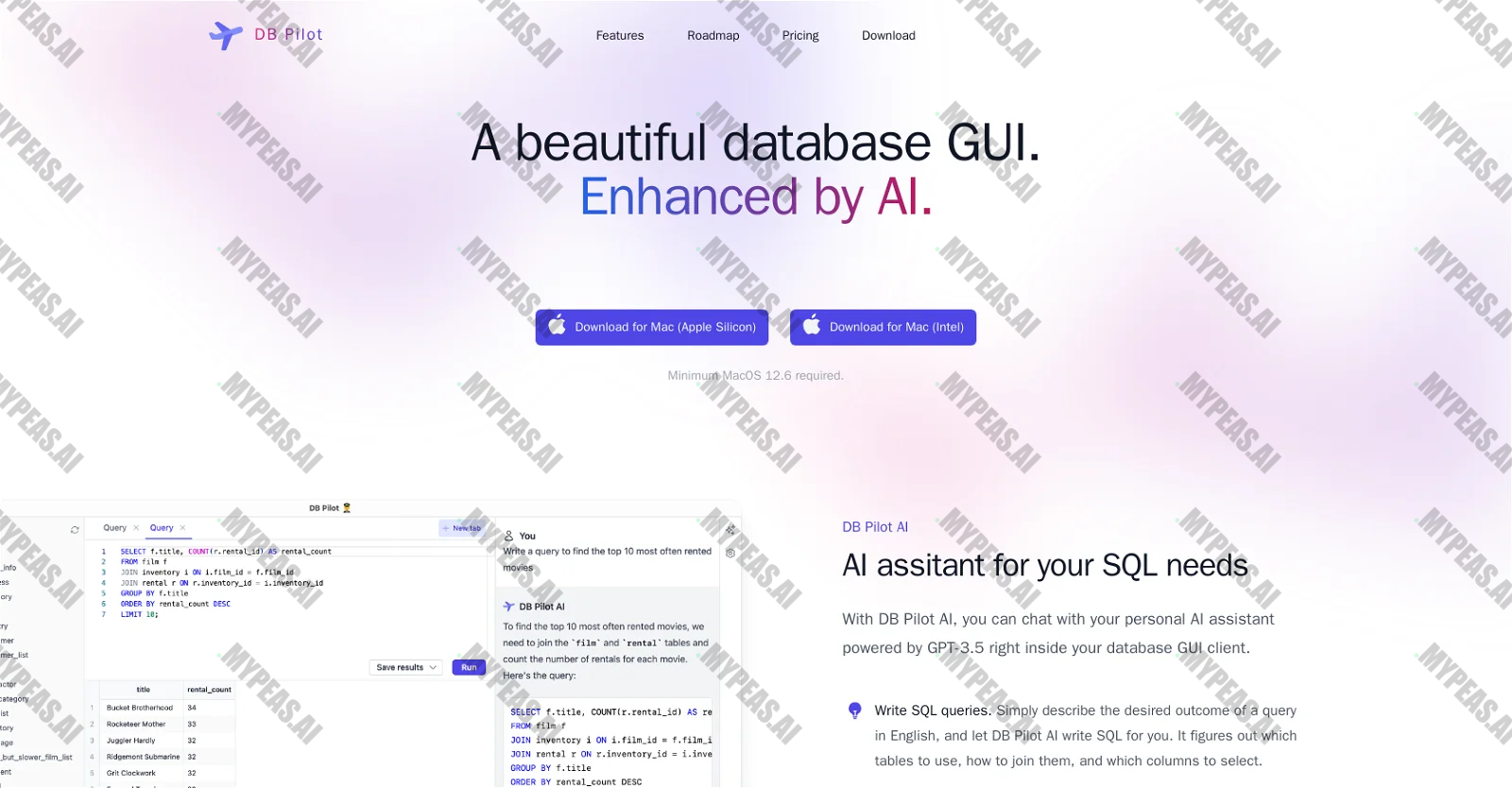 DB Pilot screenshot