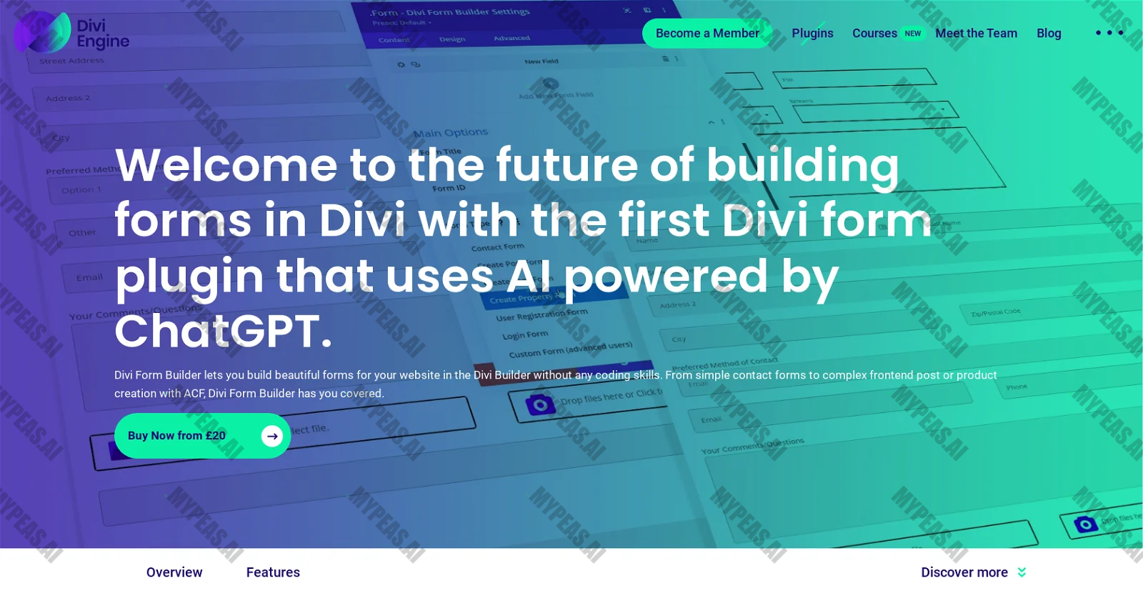 Divi Form Builder screenshot