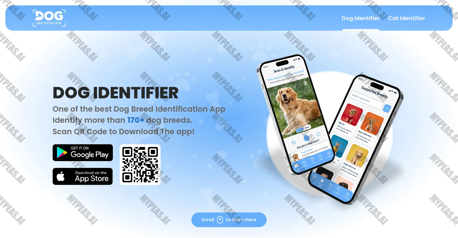 Dog Identifer screenshot