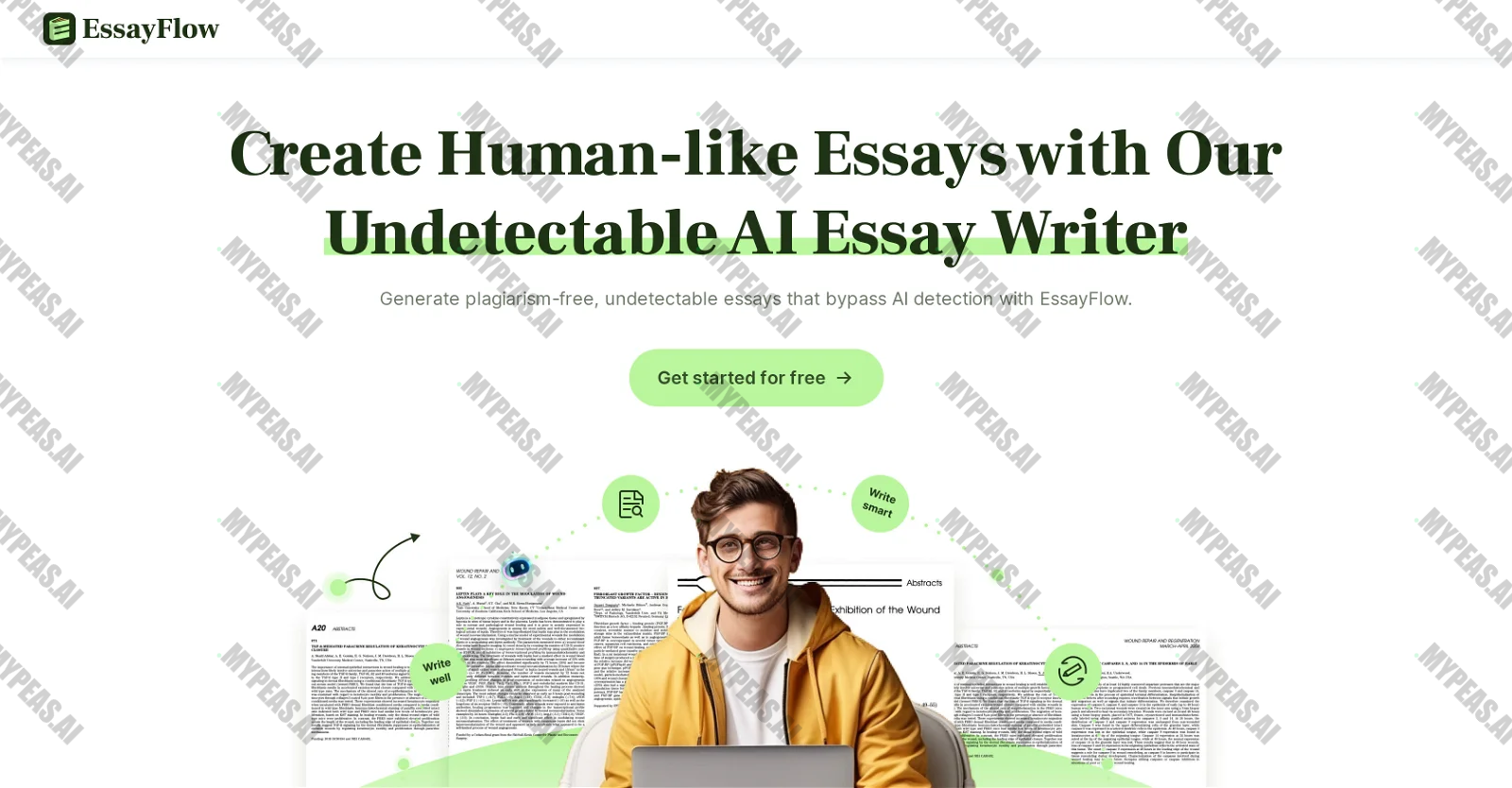 EssayFlow screenshot