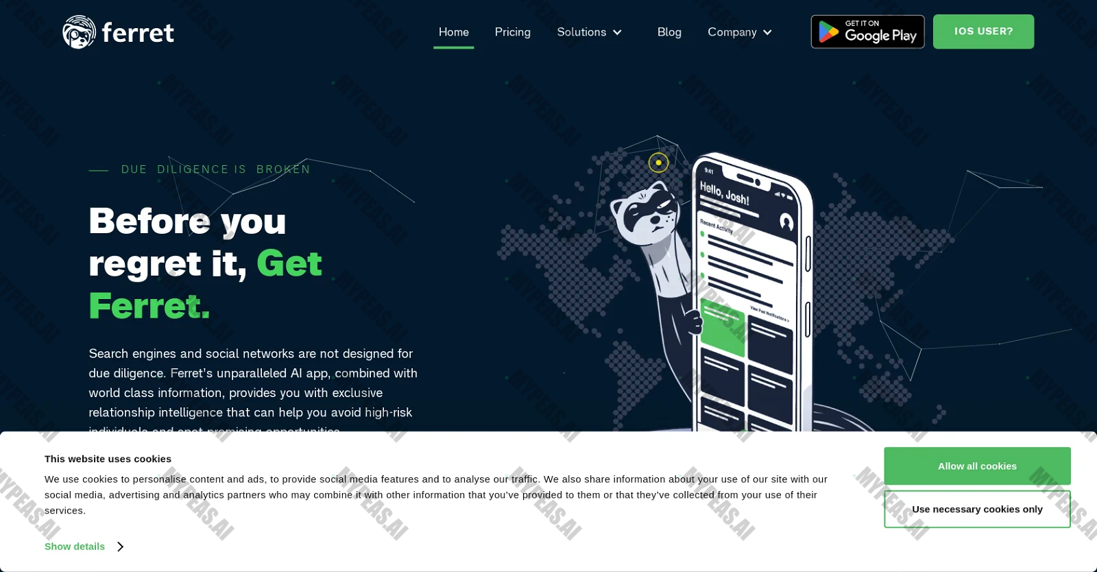 Ferret screenshot