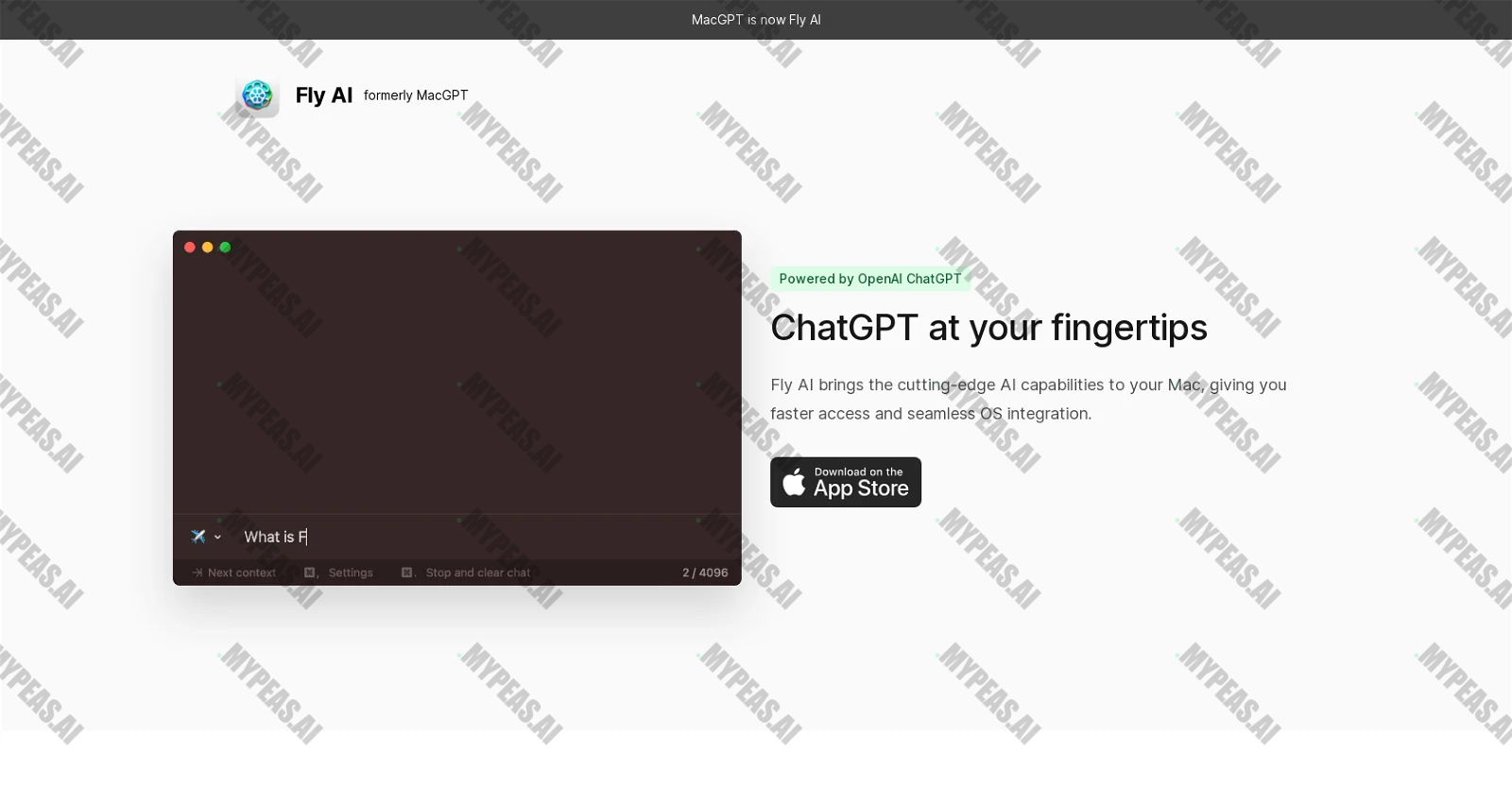 Fly AI screenshot