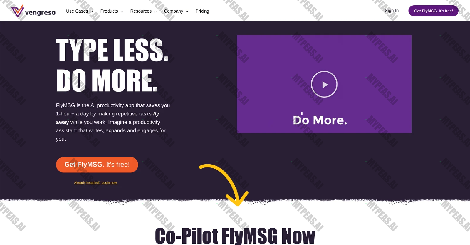 FlyMSG screenshot