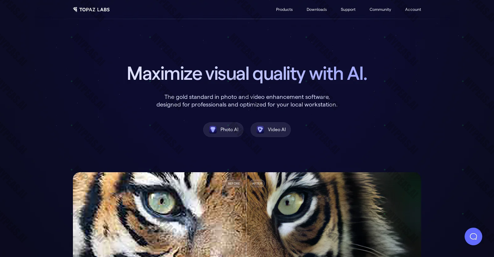 Gigapixel AI screenshot