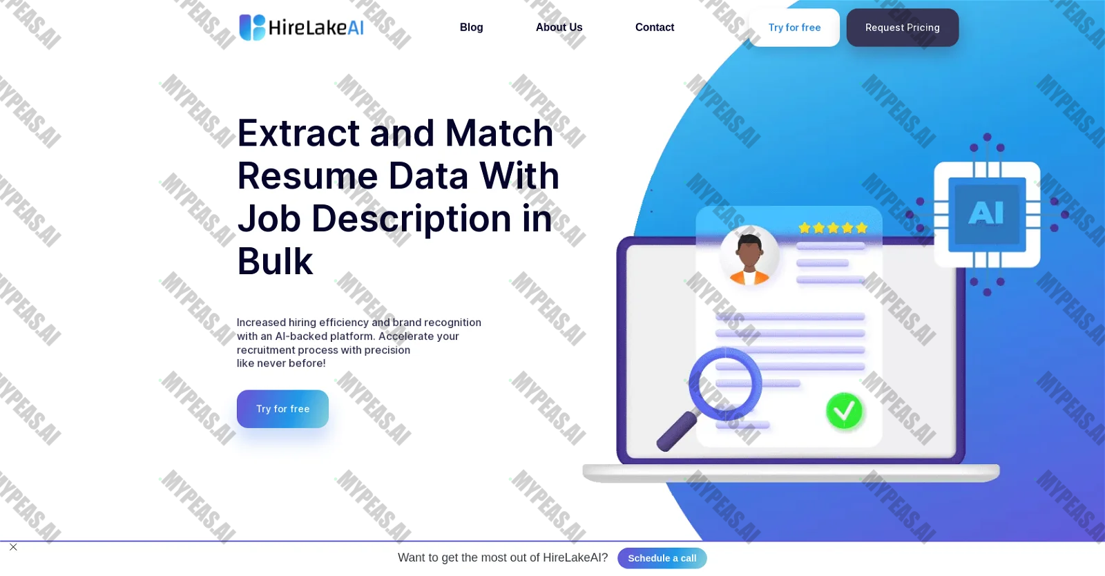 HireLakeAI screenshot