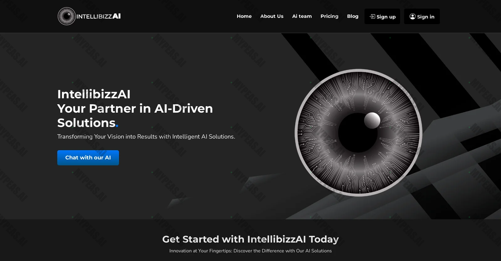 IntellibizzAI screenshot