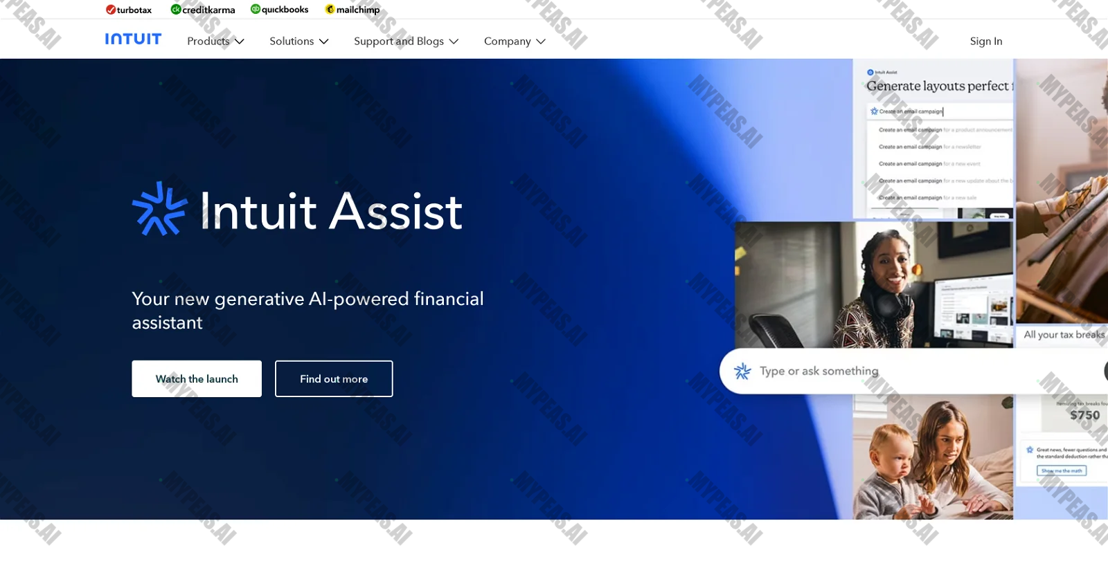 Intuit Assist screenshot