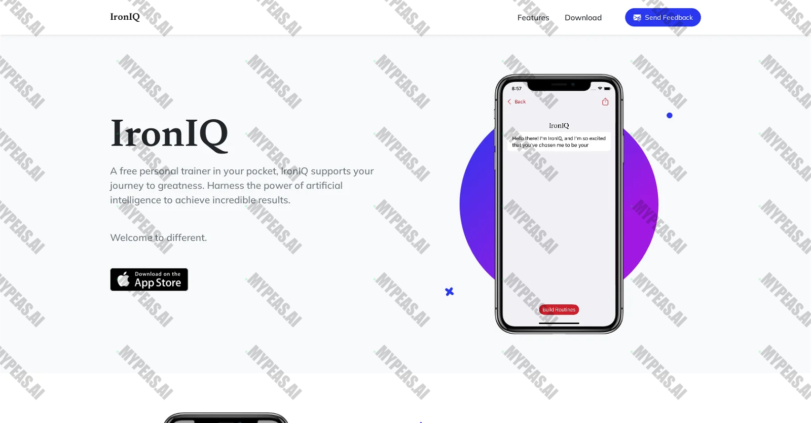 Ironiq screenshot