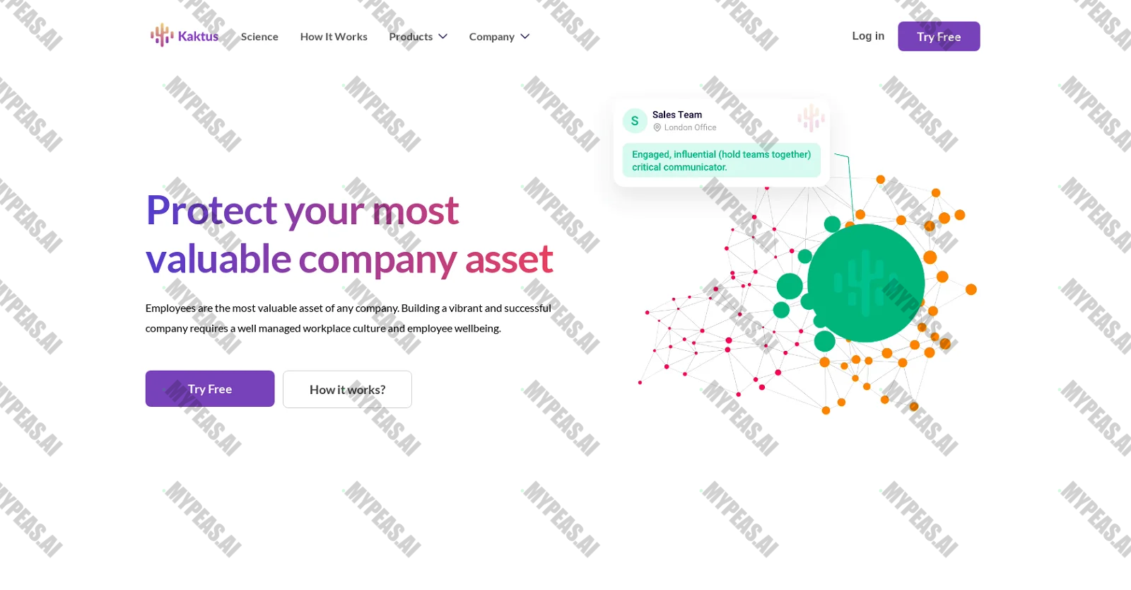 Kaktus screenshot