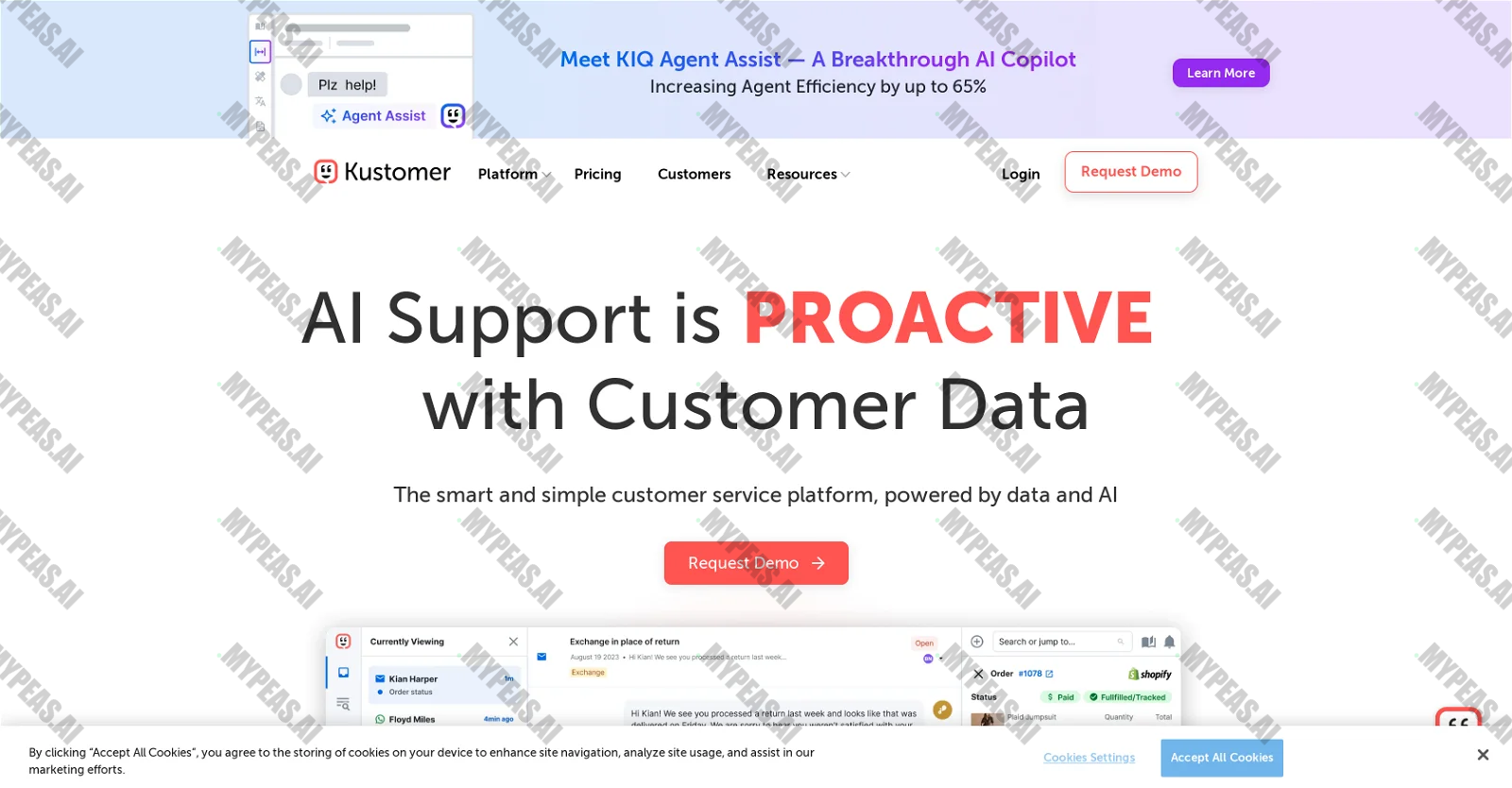 Kustomer screenshot