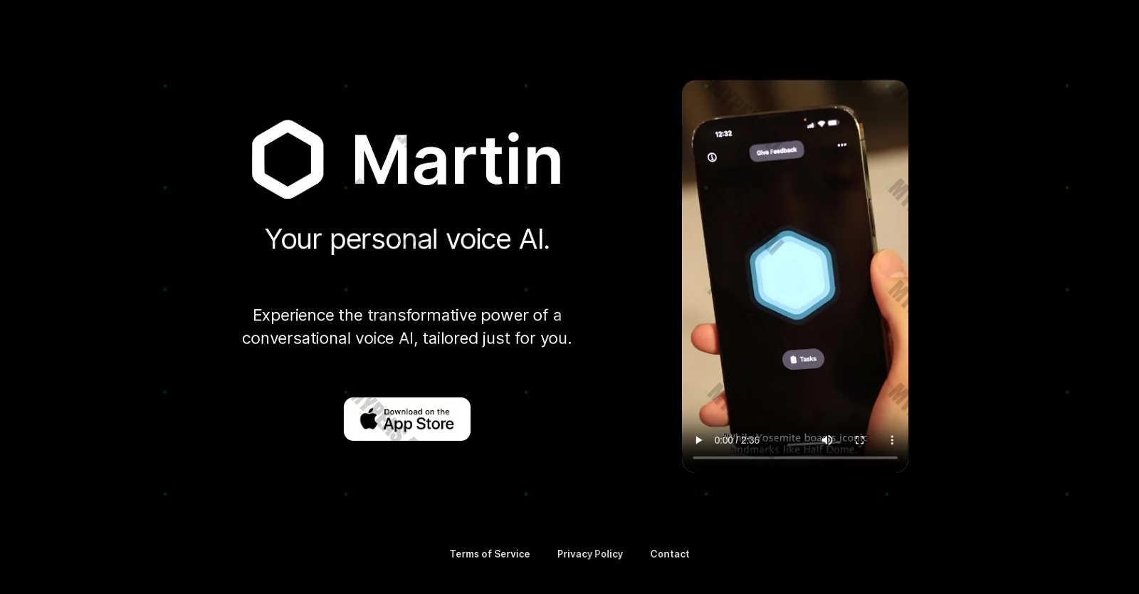 Martin screenshot