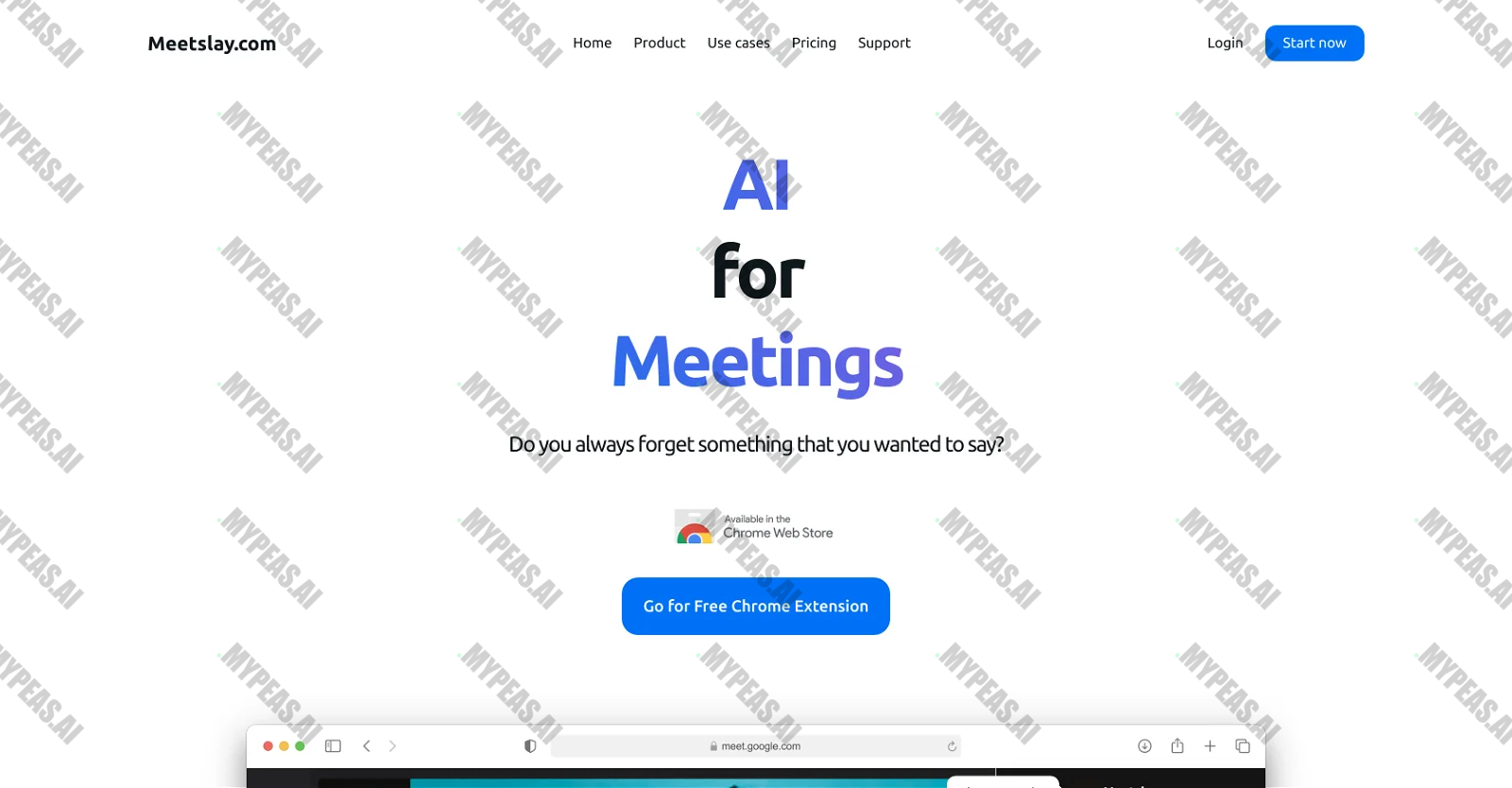Meetslay screenshot