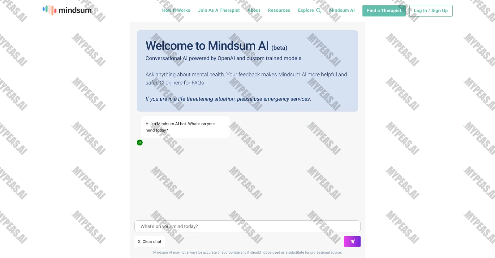 Mindsum screenshot