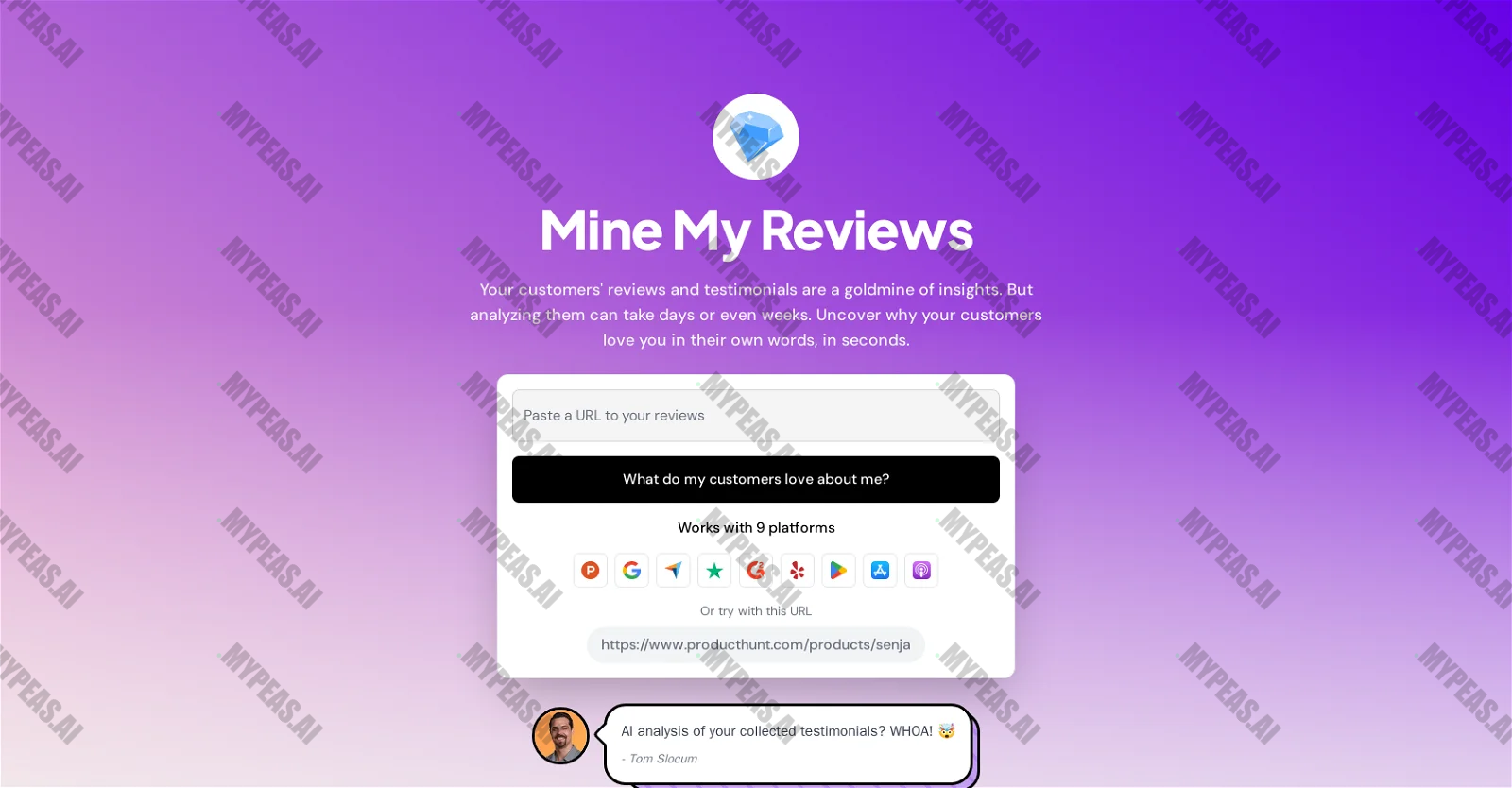 Mine My Reviews screenshot
