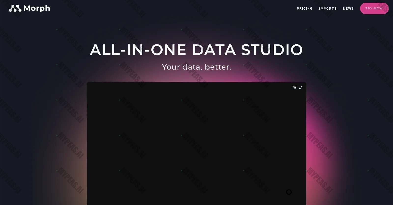 MorphDB screenshot