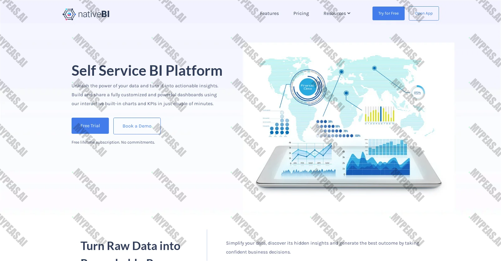 NativeBI screenshot