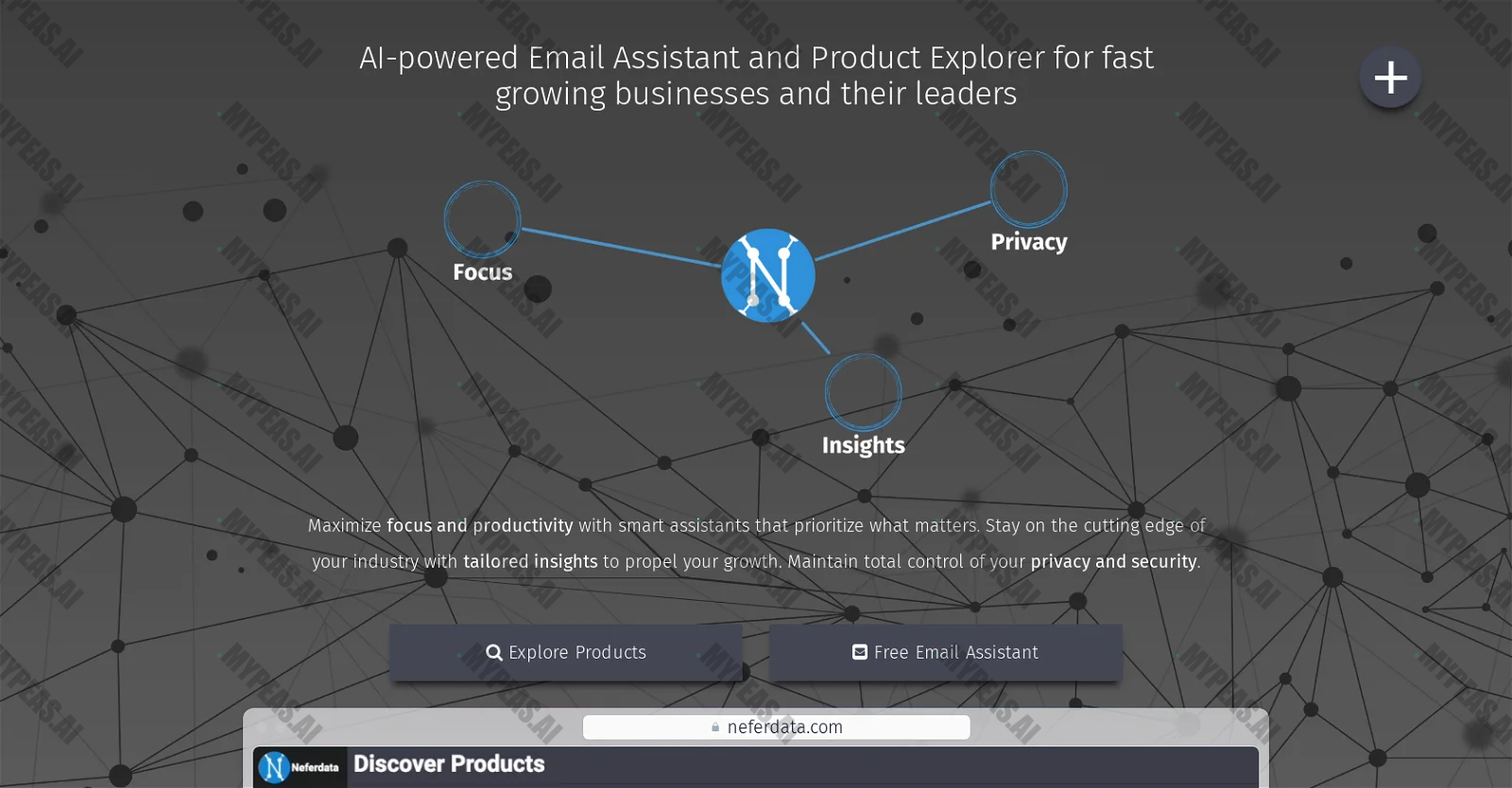 Neferdata screenshot