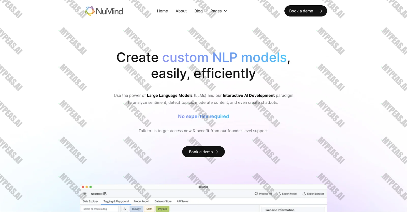 Numind screenshot
