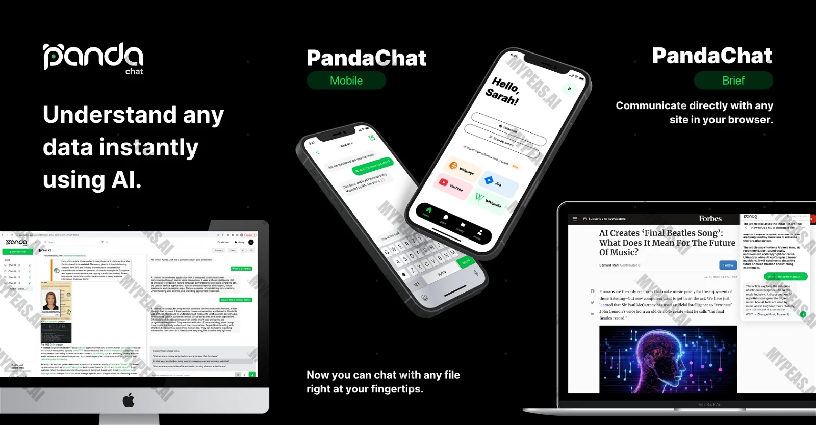 PandaChat screenshot